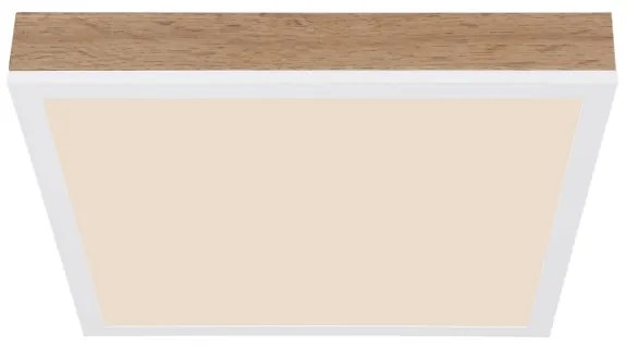 Globo 416080WWD1 - Plafoniera LED DORO LED/12W/230V 30x30 cm