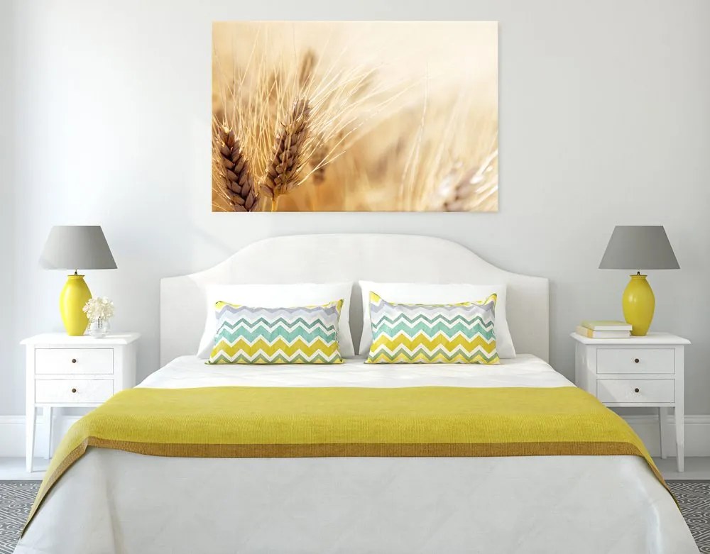 Quadro su tela – Campo di grano