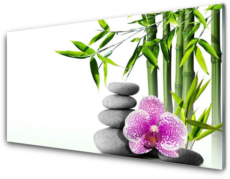 Quadro acrilico Zen Art Bamboo Spa 100x50 cm