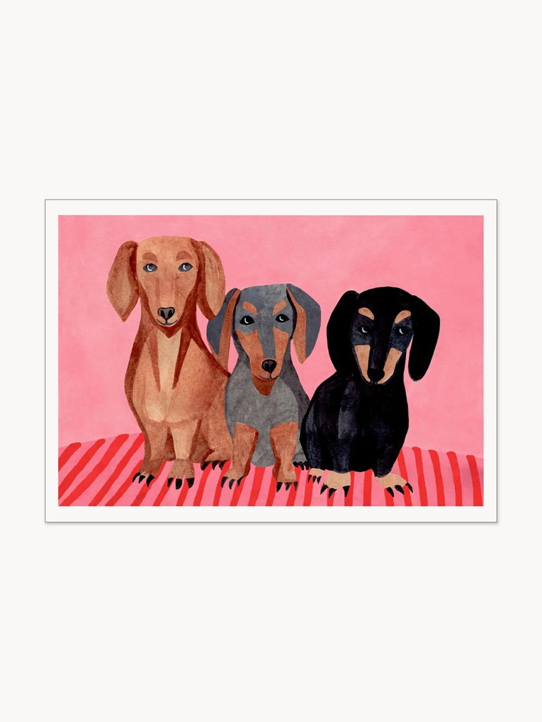 Poster Dachshunds