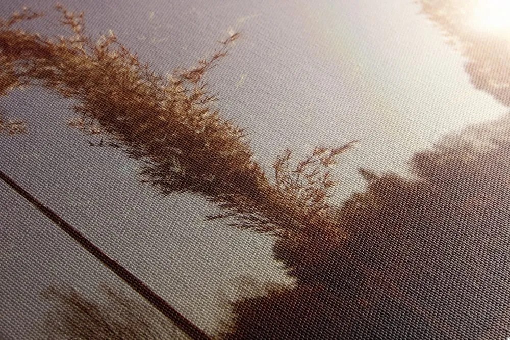 Stampa su tela – Atmosfera autunnale