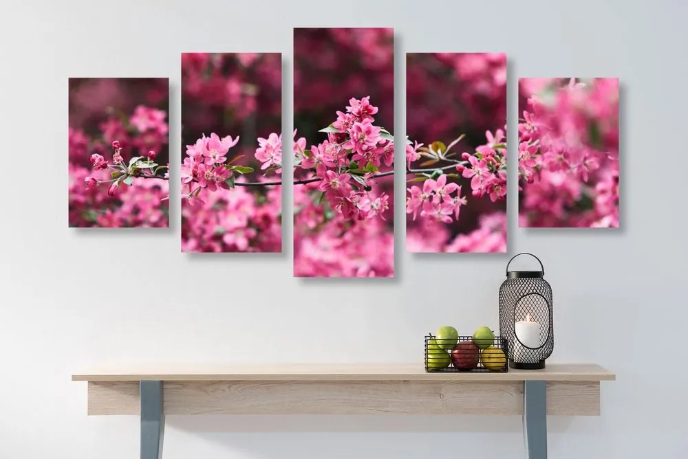Quadri 5 pezzi – Fiore di ciliegio dettagliato