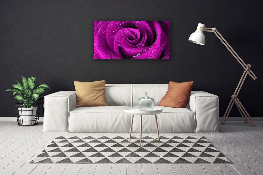 Quadro su tela Natura della pianta del fiore della rosa 100x50 cm