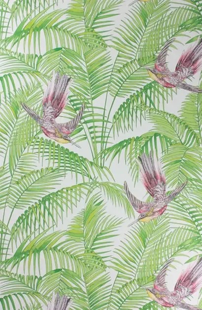 Matthew Williamson Carta da parati Sunbird - Ruby/ Kiwi