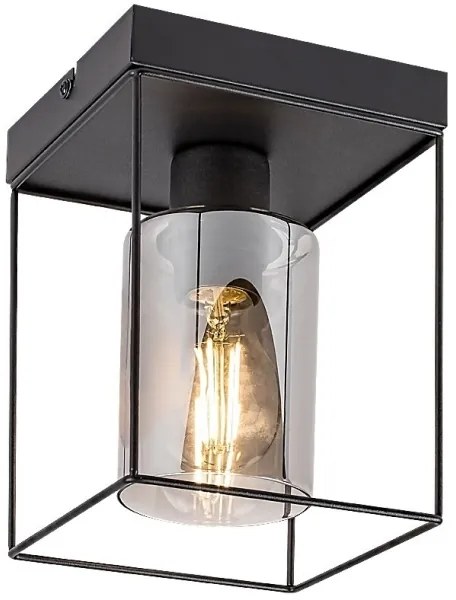 Rabalux 71031 - Plafoniera CHADWICK 1xE27/25W/230V