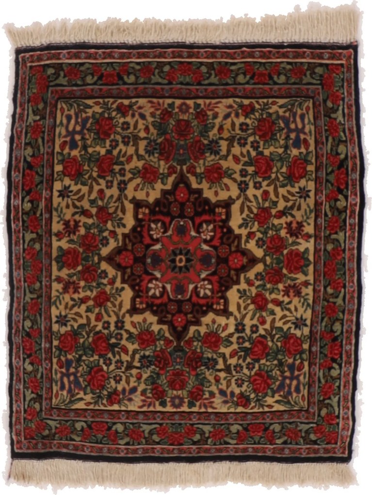 Bidjar Tappeto persiano 70 x 100 (Iran) Annodato A Mano