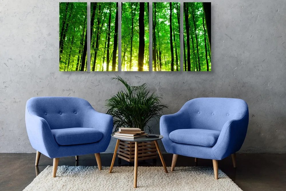Quadri 5 pezzi – Foresta verde rigogliosa