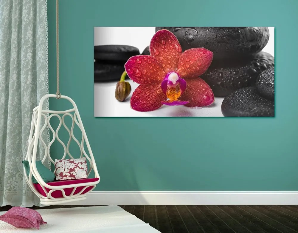Stampa su tela – Orchidea e pietre Zen su sfondo bianco