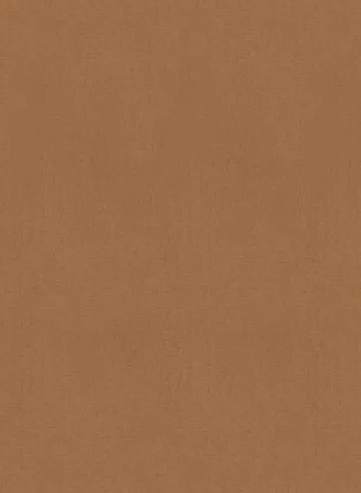 Élitis Carta da parati Parthénon - RM 1045 05