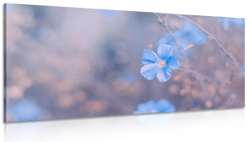 Quadro su tela – Fiori blu su sfondo vintage