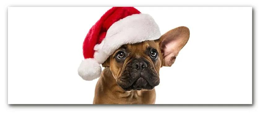 Quadro in vetro Bulldog cane di Natale 100x50 cm