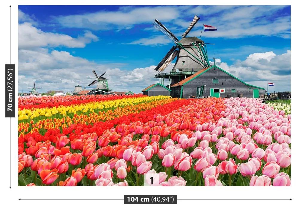 Carta da parati Mmill a vento olandesi 104x70 cm