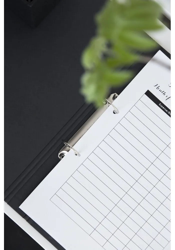 Organizzatore di cartone Ringo - Bigso Box of Sweden