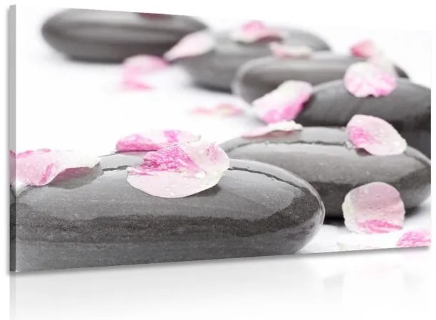 Stampa su tela – Petali su pietre wellness