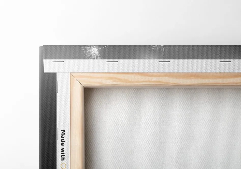 Quadro su tela – Dente di leone soffice in bianco e nero
