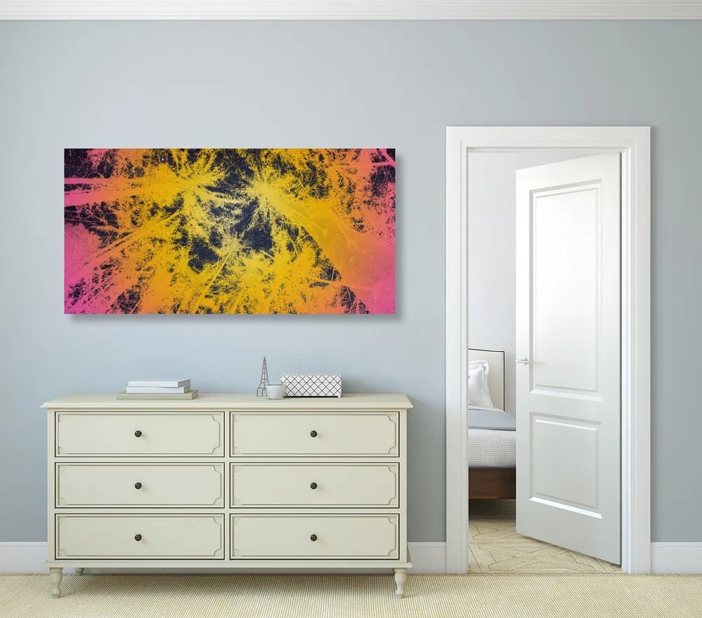 Quadro su tela – Tramonto nella foresta tropicale