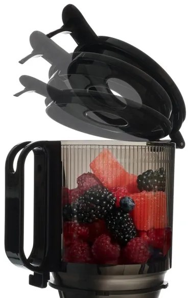 TESLA Electronics SlowJuicer Deluxe - Spremiagrumi lento 250W/230V acciaio inossidabile