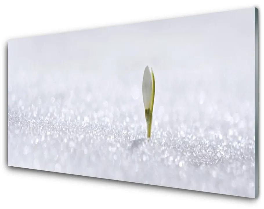 Quadro acrilico Bucaneve Neve Inverno 100x50 cm