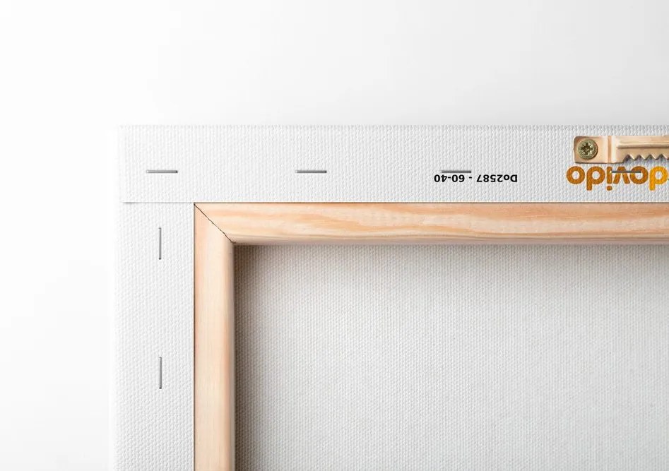 Quadro su tela – Coniglietto sognante