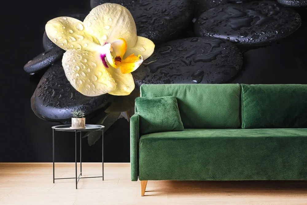 Carta da parati – Pietre Zen con orchidea gialla