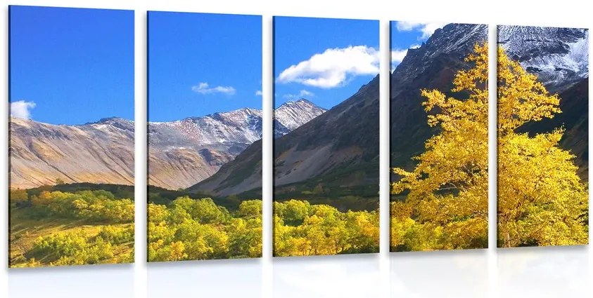 Quadri 5 pezzi – Natura meravigliosa in Kamčatka, Russia