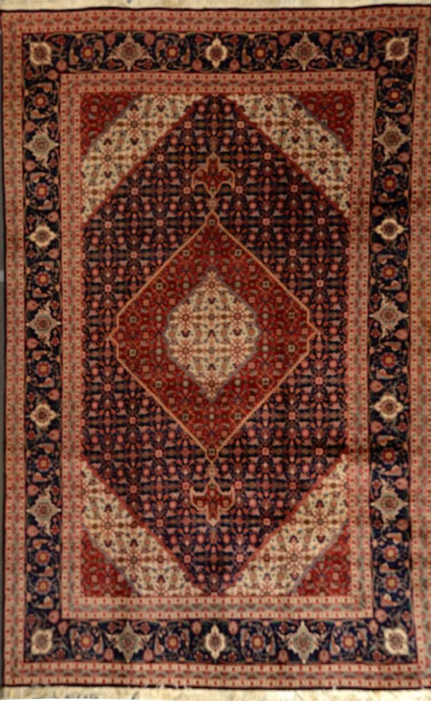 Tabriz Tappeto persiano 190 x 300 (Iran)