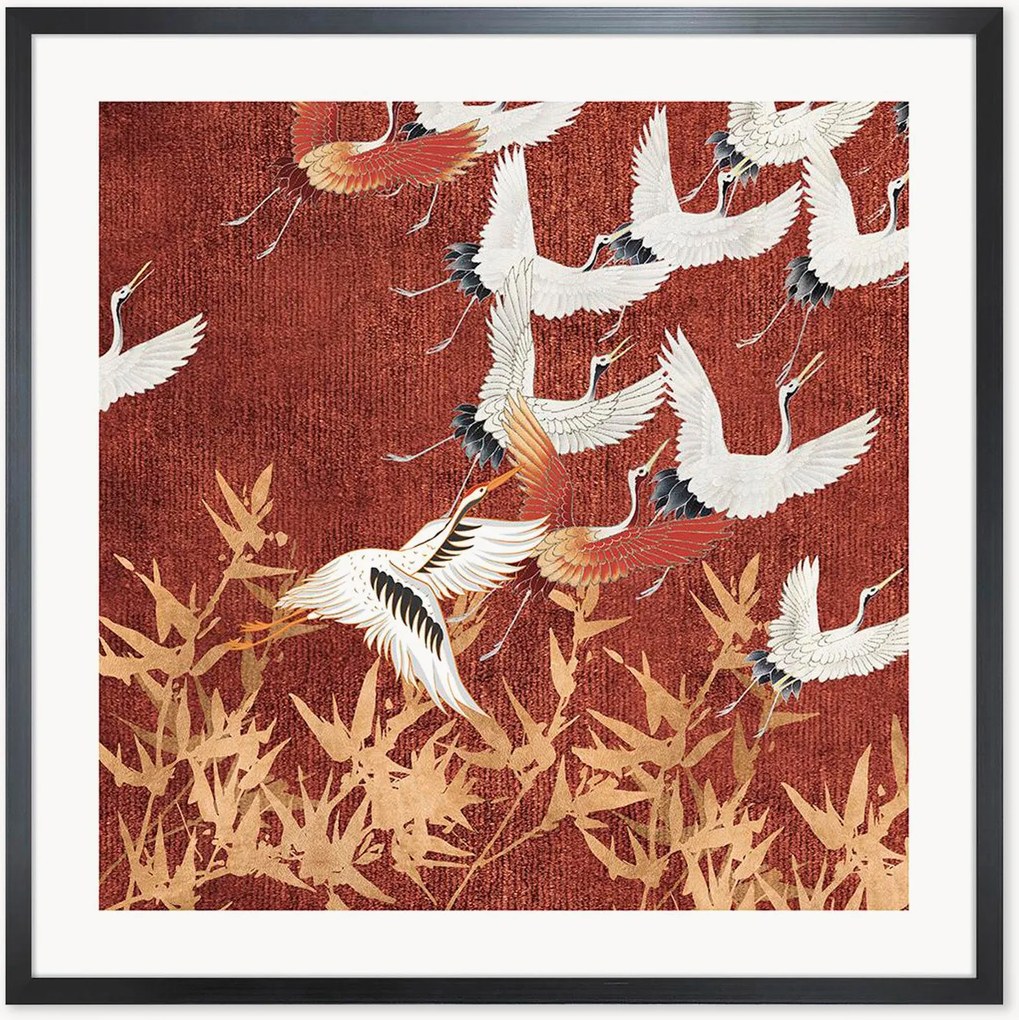Quadro Shiroi Hane