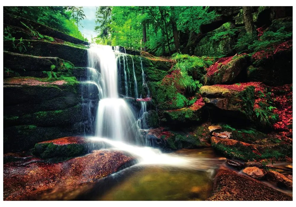 Carta da parati – Cascata nel bosco