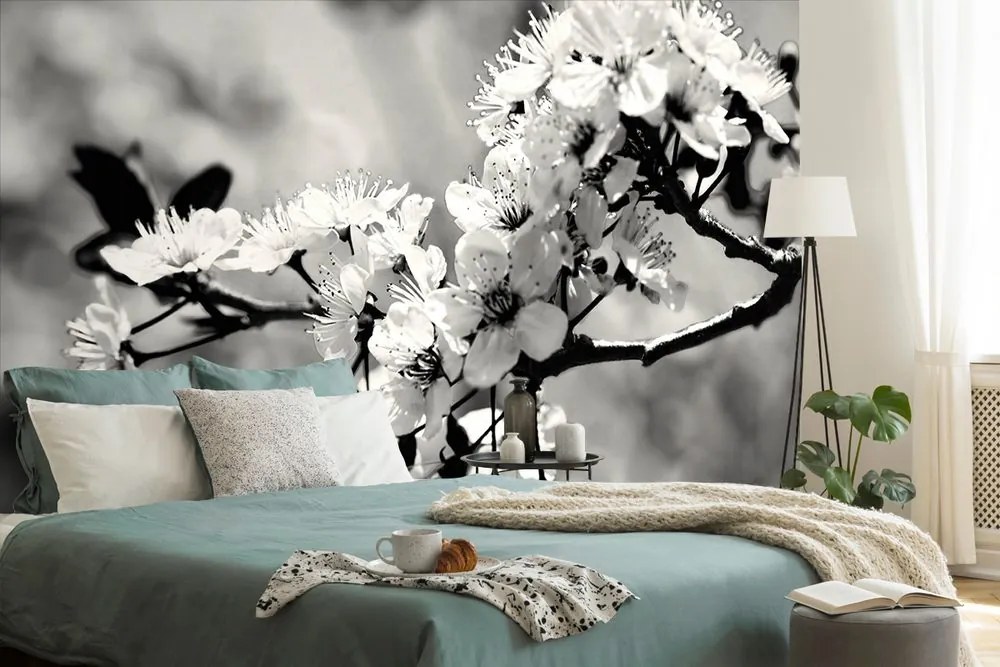 Carta da parati – Fiore di ciliegio in bianco e nero