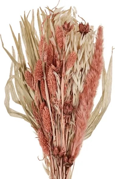 Eglo 428073 - Fiore essiccato CARAQUET 60 cm arancione