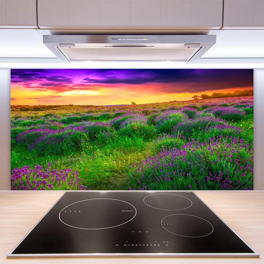 Pannello paraschizzi cucina Prato Natura 120x60 cm