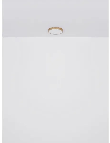 Globo 12381-22 - Plafoniera LED TIBEY LED/22W/230V diametro 35 cm