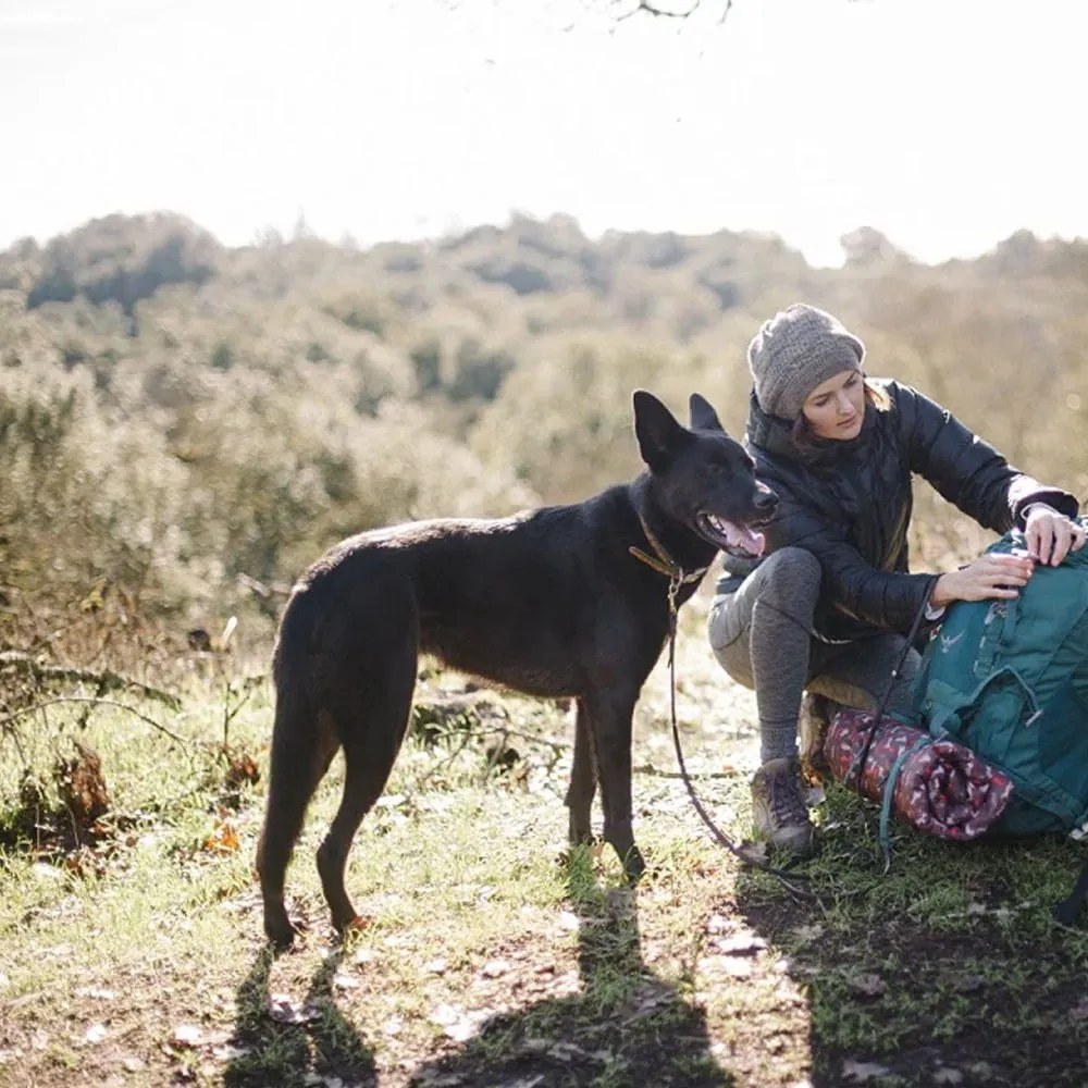 Cuccia da viaggio marrone per cane 45x60 cm Outdoor Chill Pad Mocha S – P.L.A.Y.