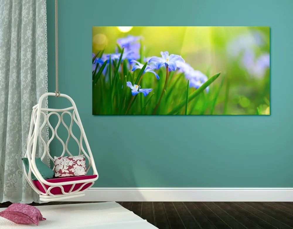 Quadro su tela – Fiori nel prato in primavera