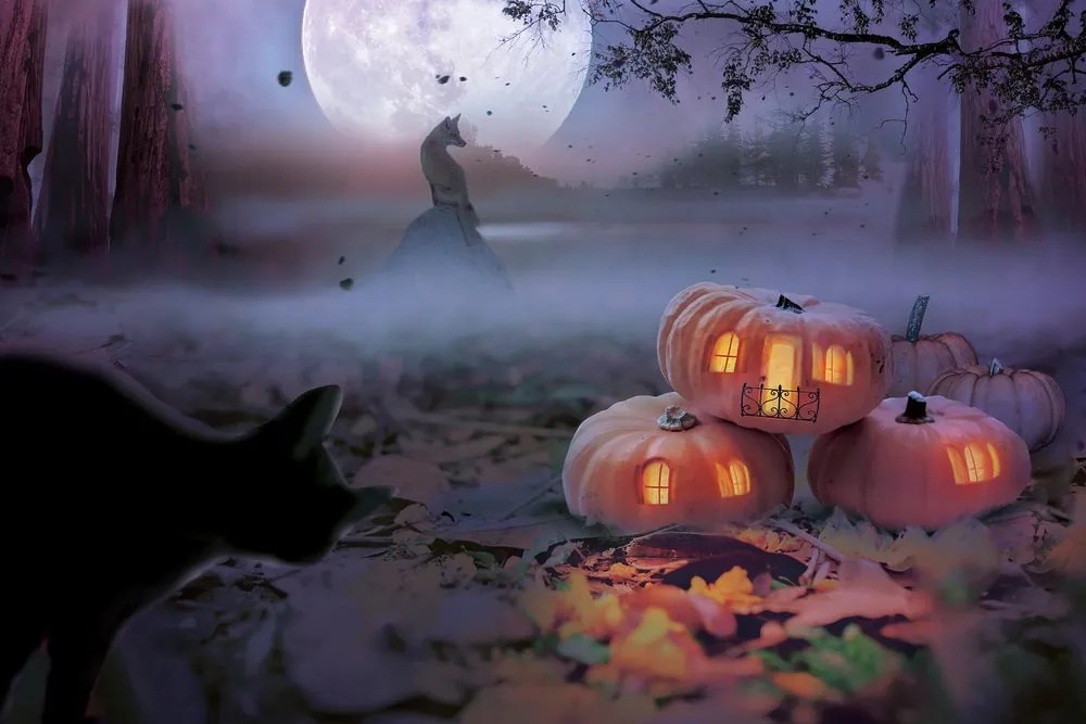 Stampa su tela – Zucche nel bosco misterioso