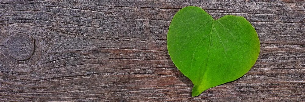 Stampa su tela – Foglia a forma di cuore su sfondo di legno