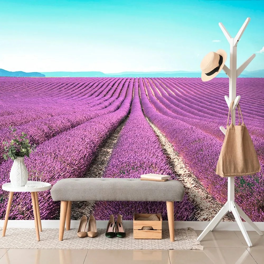 Carta da parati – Campo di lavanda infinito