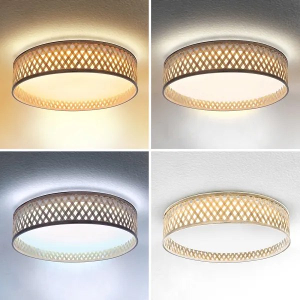 Brilagi - Plafoniera LED dimmerabile CAMILA 48W 230V 3000-6500K + DO