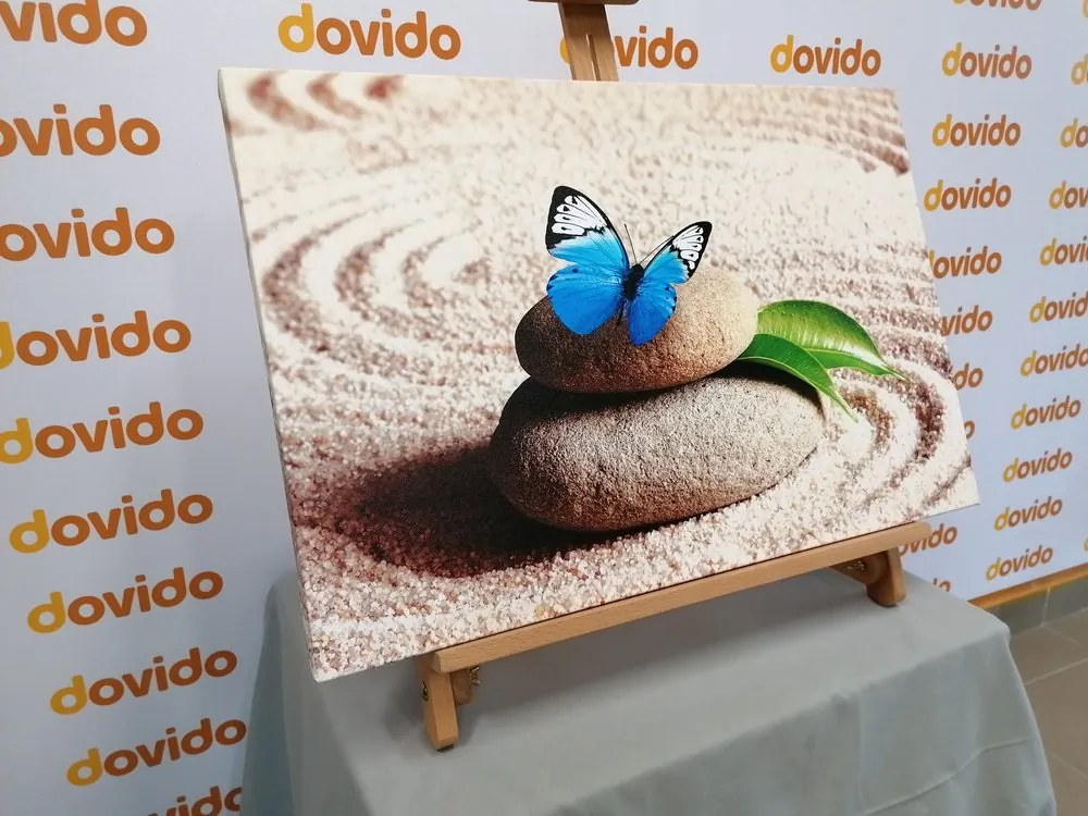Stampa su tela – Farfalla blu nel giardino Zen
