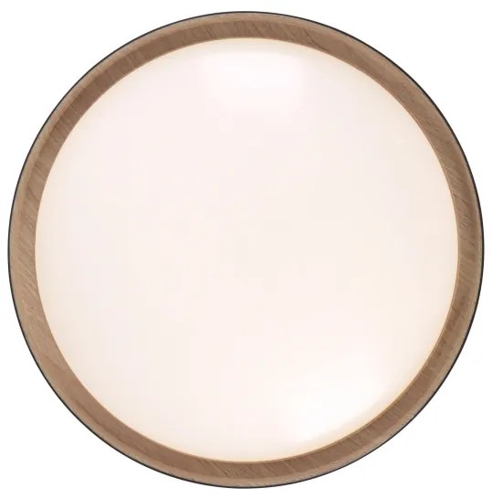 Leuchten Direkt 1434718-LED Plafoniera dimmerabile EMILIA 28,8W/230V nero