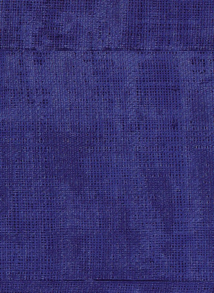 Élitis Carta da parati Atelier d'Artiste - VP 880 43