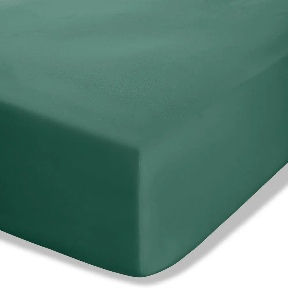 Lenzuolo con angoli verde scuro in percalle 150x200 cm Easy Iron Percale – Catherine Lansfield