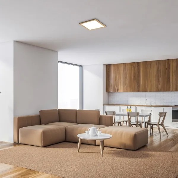 Rabalux 6907 - Pannello LED a plafone ALMOND LED/12W/230V 4000K