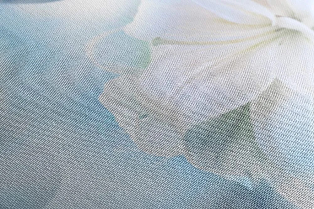 Quadro su tela – Fiore bianco di giglio su sfondo astratto