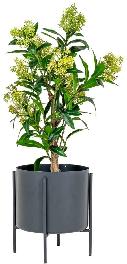Pianta artificiale Skimmia - House Nordic