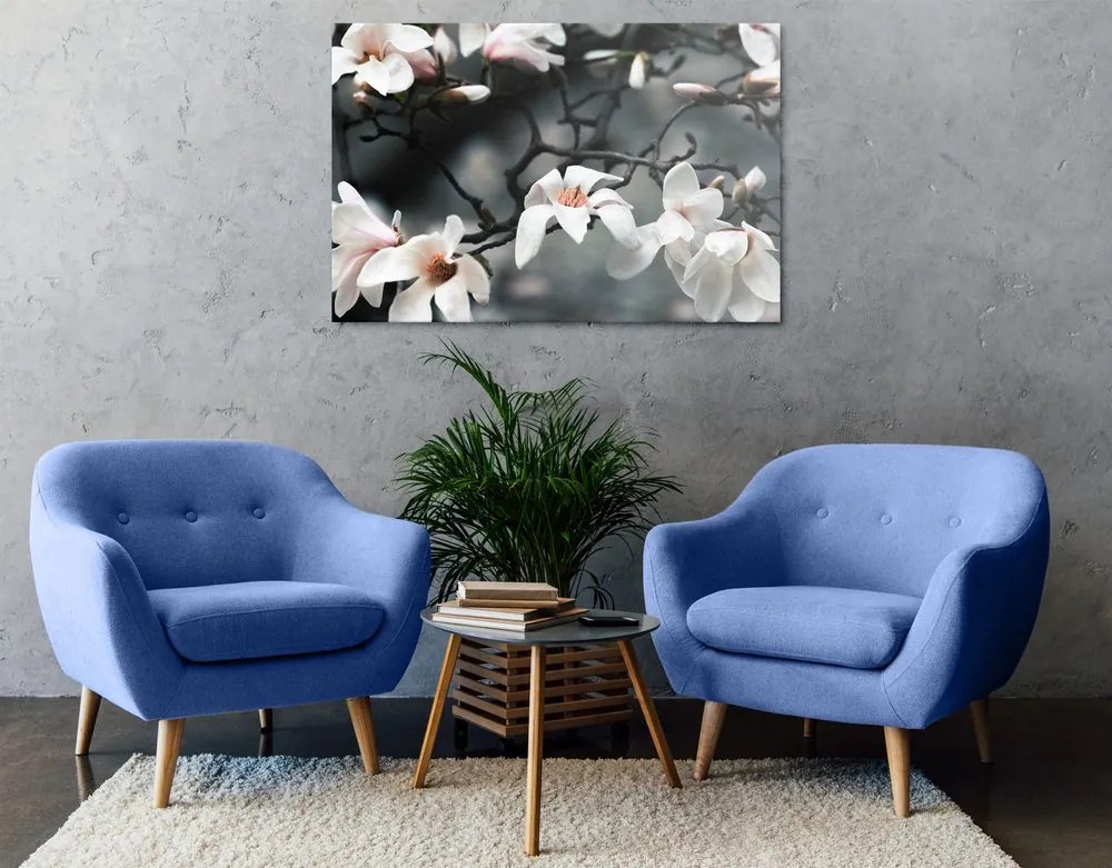 Quadro su tela – Magnolia che si risveglia