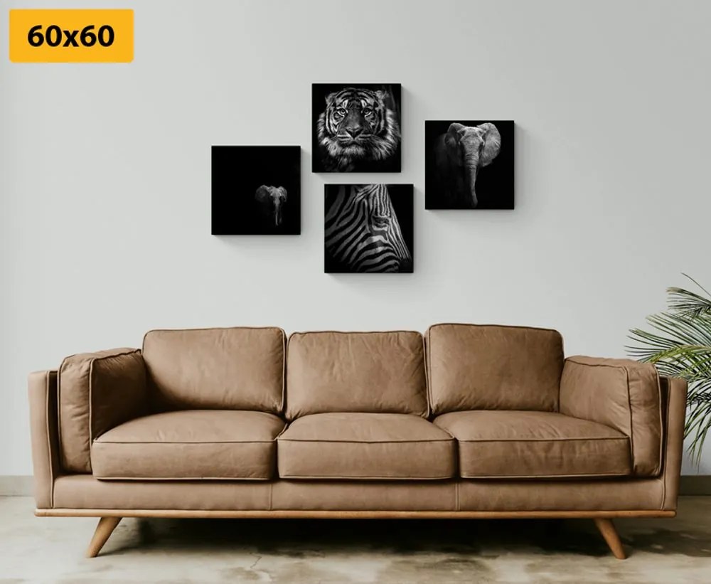 Set di quadri – Animali in stile bianco e nero