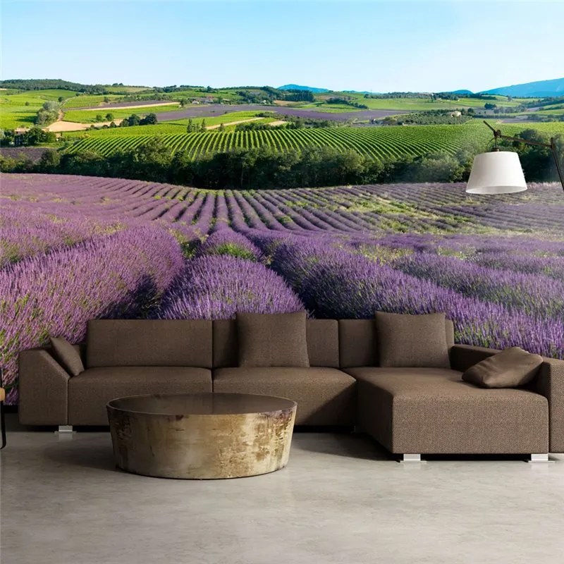 Fotomurale  Campi di lavanda  Colore Verde, Dimensioni e Misure 400x309