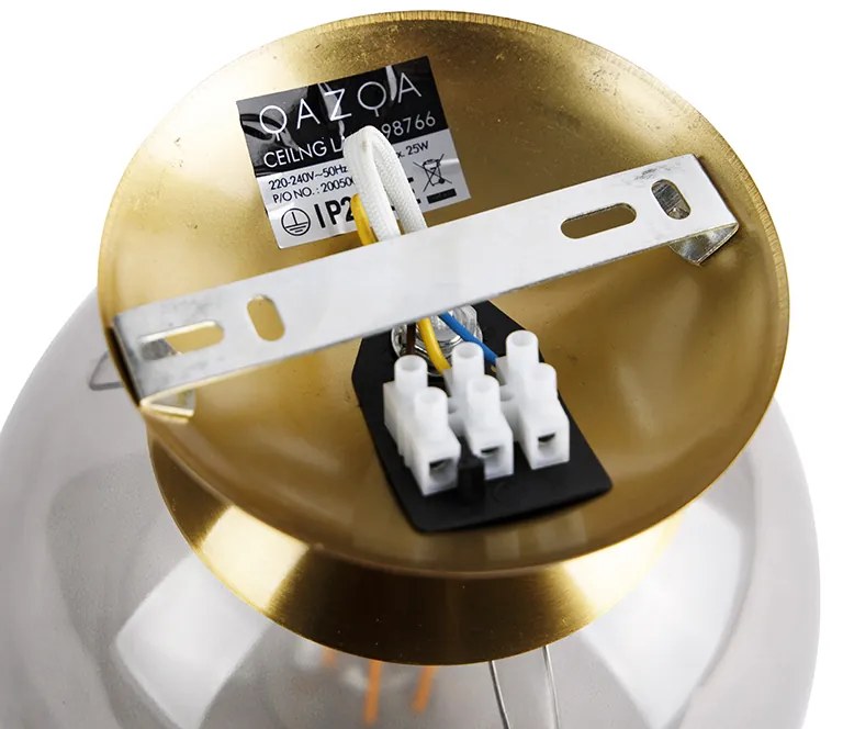 Lampada da soffitto intelligente in ottone con vetro fumé incl. Wifi ST64 - Pallon