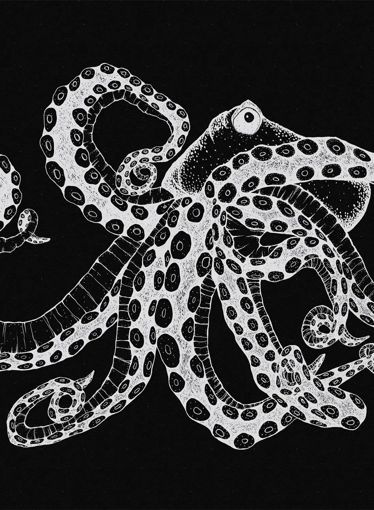 Coordonne Carta da parati panoramica Octopus X-Ray - Black